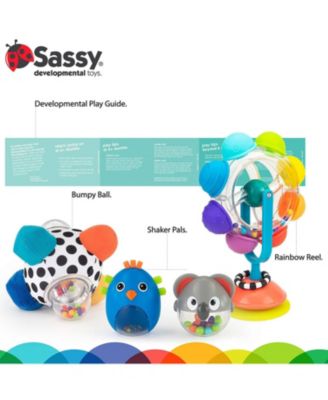 Sassy Move & Groove Baby Box Gift set, 6 Months plus