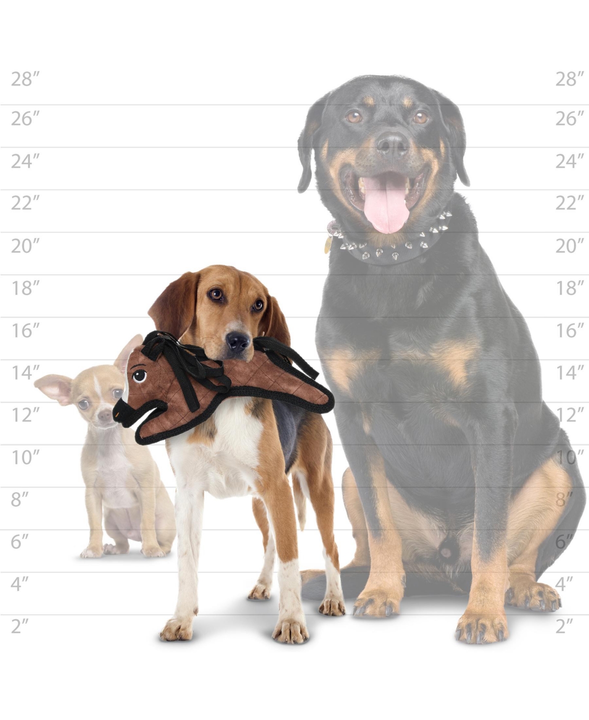 Tuffy Jr Barnyard Pony, 2-Pack Dog Toys