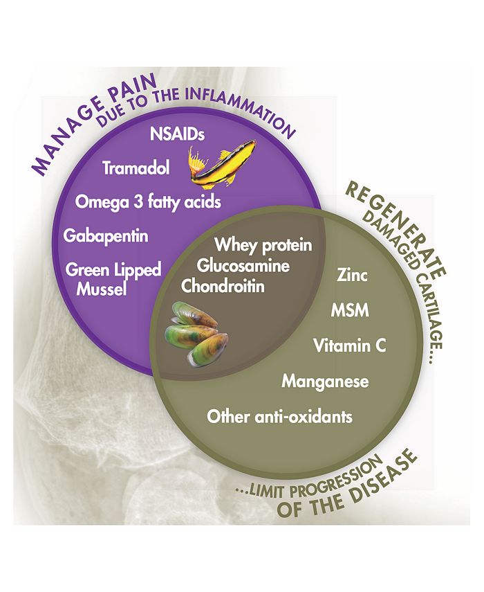 Aventix Animal Health TheraBites Hip & Joint Dog Chews (60 count) Macy's