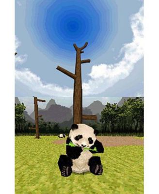 National Geographic Panda - Nintendo DS