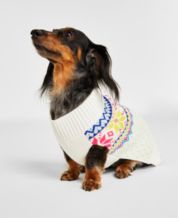 Macy's dog hotsell sweater