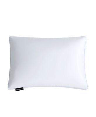 Beautyrest Luxury European Down Pillow Collection In White
