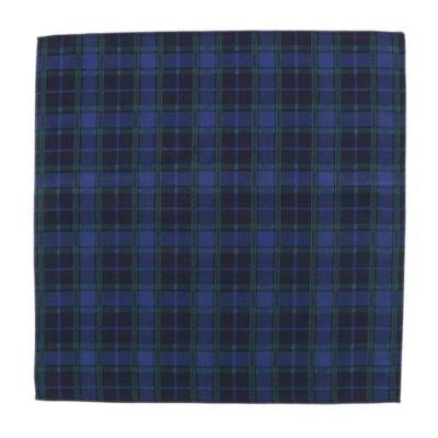 Men's Ives Green and Navy Blackwatch Plaid Silk Pocket Square