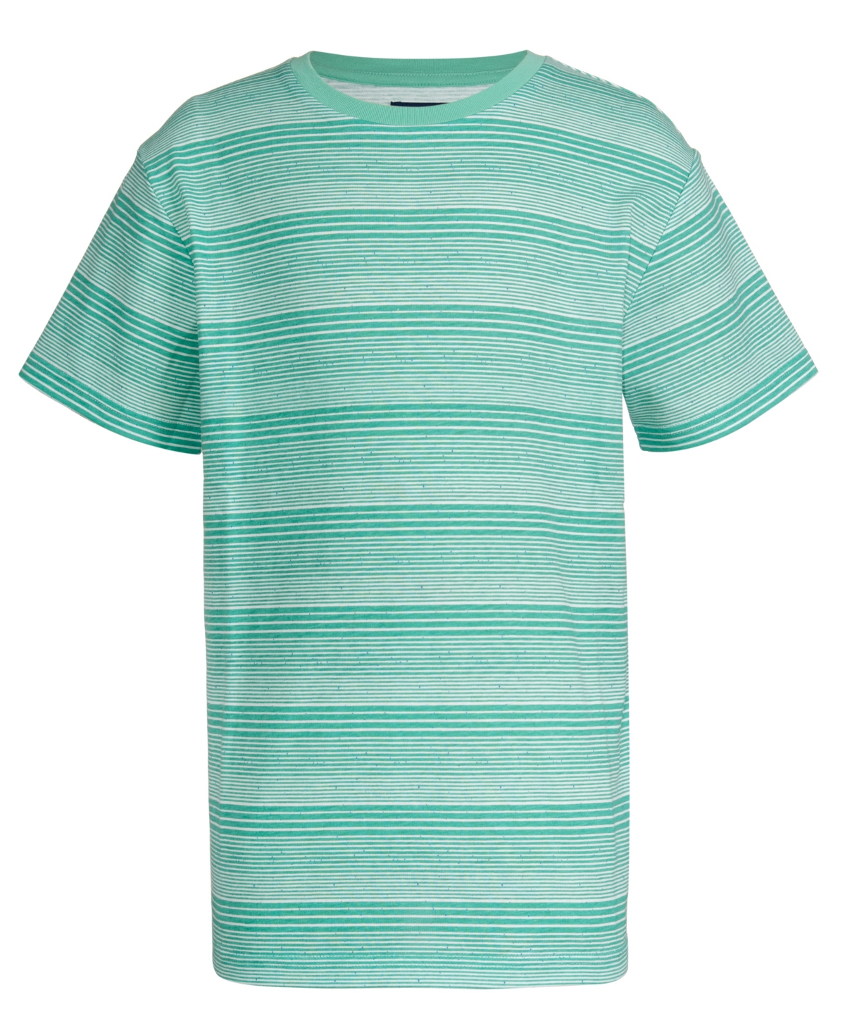 Univibe Big Boys Barnard Speckle Stripe Crewneck T-shirt In Mint