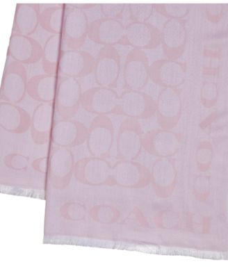 Women's Signature Border Scarf