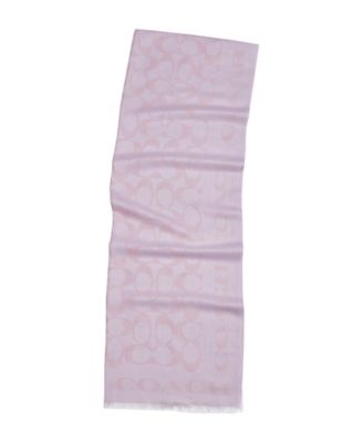 Women's Signature Border Scarf