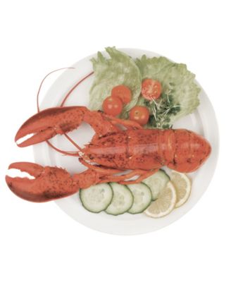 Lobster Tools and Extra-Large Disposable Seafood Bibs, Includes 2 Seafood Tools and 12 Bibs