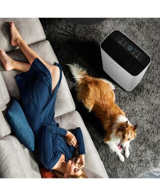 True HEPA Filter Carbon Filter Air Cleaner Home Office 800 sq.ft  Air Purifier