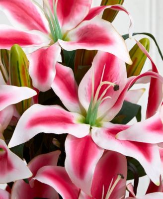 Rubrum Lily w/ Decorative Vase