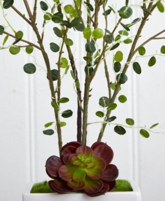 Night Willow in White Planter