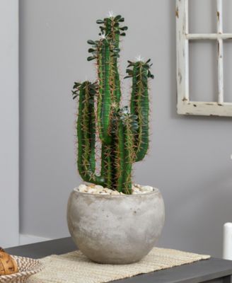 2.5' Cactus Artificial Plant in Bowl Planter