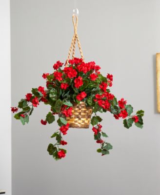 Geranium UV-Resistant Indoor/Outdoor Hanging Basket
