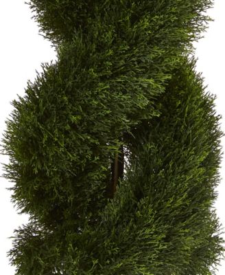 Double Pond Cypress Spiral Indoor/Outdoor Topiary