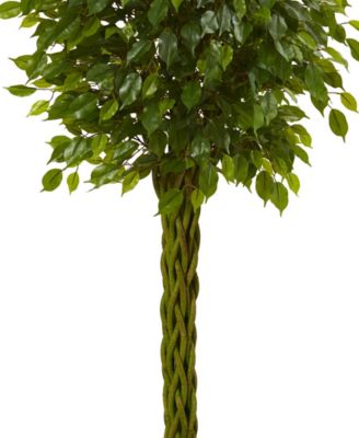 5' Ficus UV-Resistant Indoor/Outdoor Artificial Tree with Woven Trunk