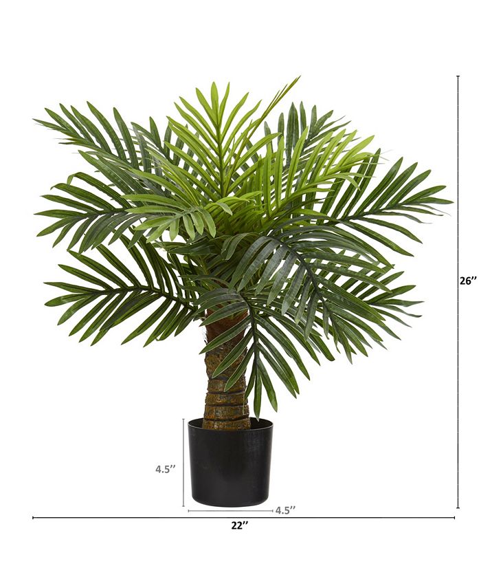 Nearly Natural 26" Robellini Palm Artificial Tree Macy's