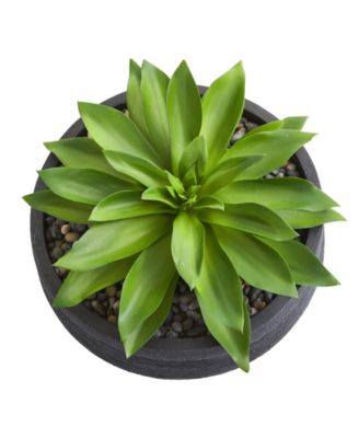 Large Succulent Artificial Plant in Decorative Bowl