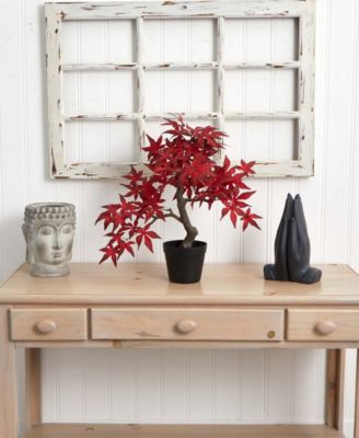 Autumn Maple Bonsai, 20"