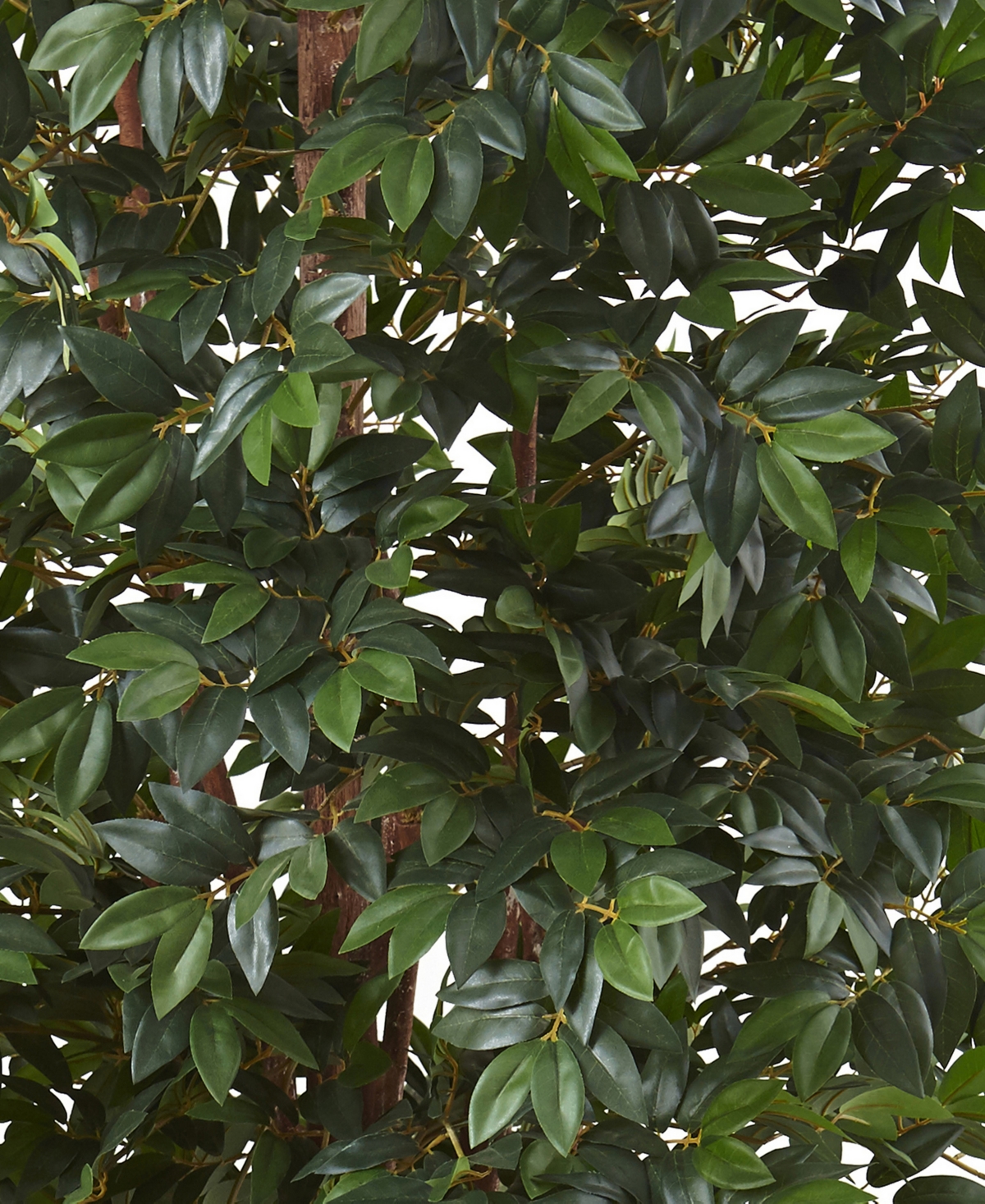 NEARLY NATURAL 7.5' LYCHEE SILK TREE 