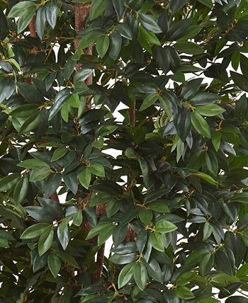 Nearly Natural - 7.5' Lychee Silk Tree
