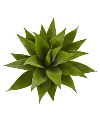 32" Agave Plant w/ Stem