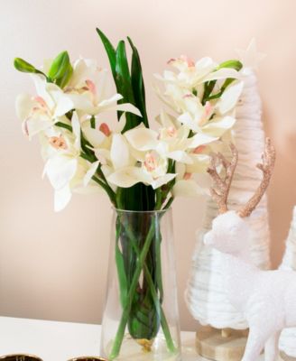 Cymbidium Orchid w/Vase