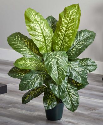 34” Dieffenbachia Artificial Plant (Real Touch)