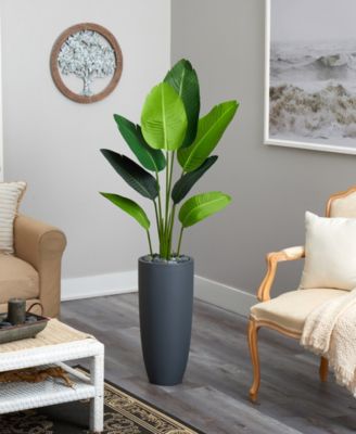 5.5' Traveler's Palm Artificial Tree in Gray Planter