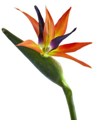 35-In. Bird of Paradise Artificial Flower, Set of 4