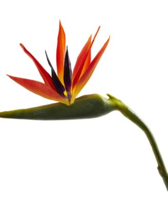 38-In. Large Bird of Paradise Artificial Flower, Set of 4