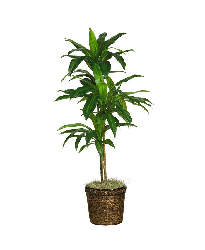 Nearly Natural Dracaena with Basket Silk Plant, Real Touch - Macy's