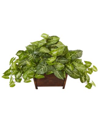 Nearly Natural - Nephthytis Artificial Plant in Wood Planter
