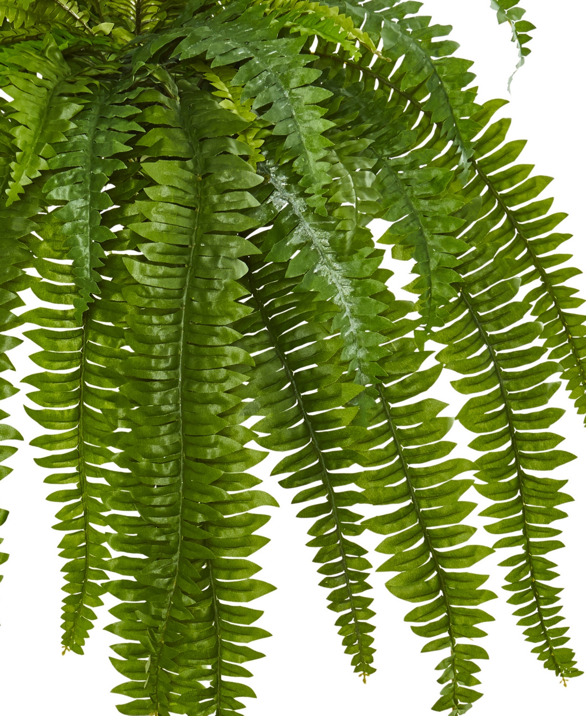 NEARLY NATURAL 35" BOSTON FERN ARTIFICIAL PLANT (SET OF 2) 
