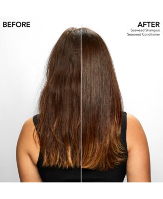 Seaweed Shampoo, 8.5 oz.