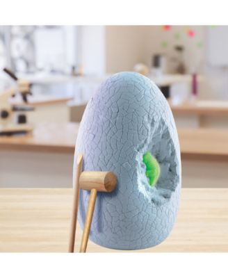 Giant Dinosaur Egg Excavation Kit