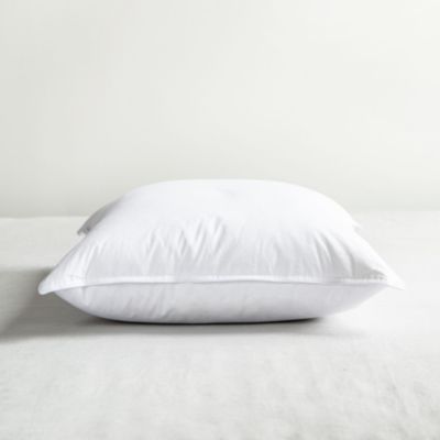 20" x 20" Feather Down Square Throw Pillow Insert