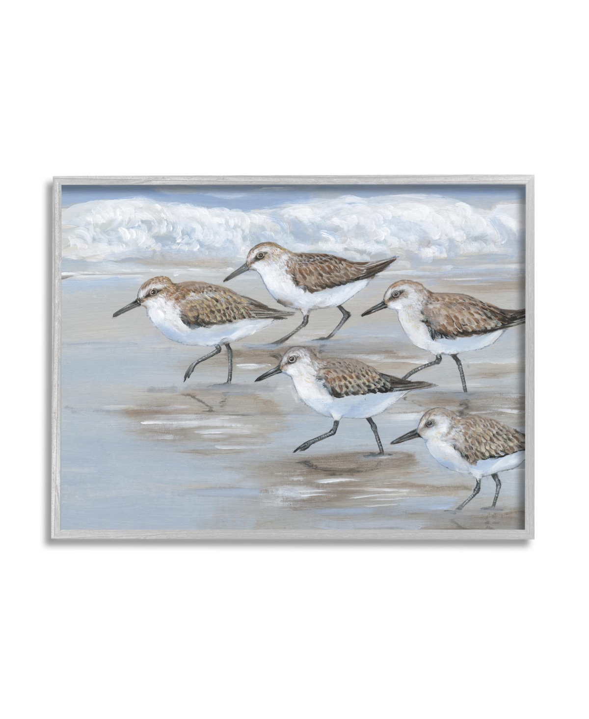 Stupell Industries Sandpiper Birds Beach March Framed Giclee Art, 11" X 1.5" X 14" In Multi-color