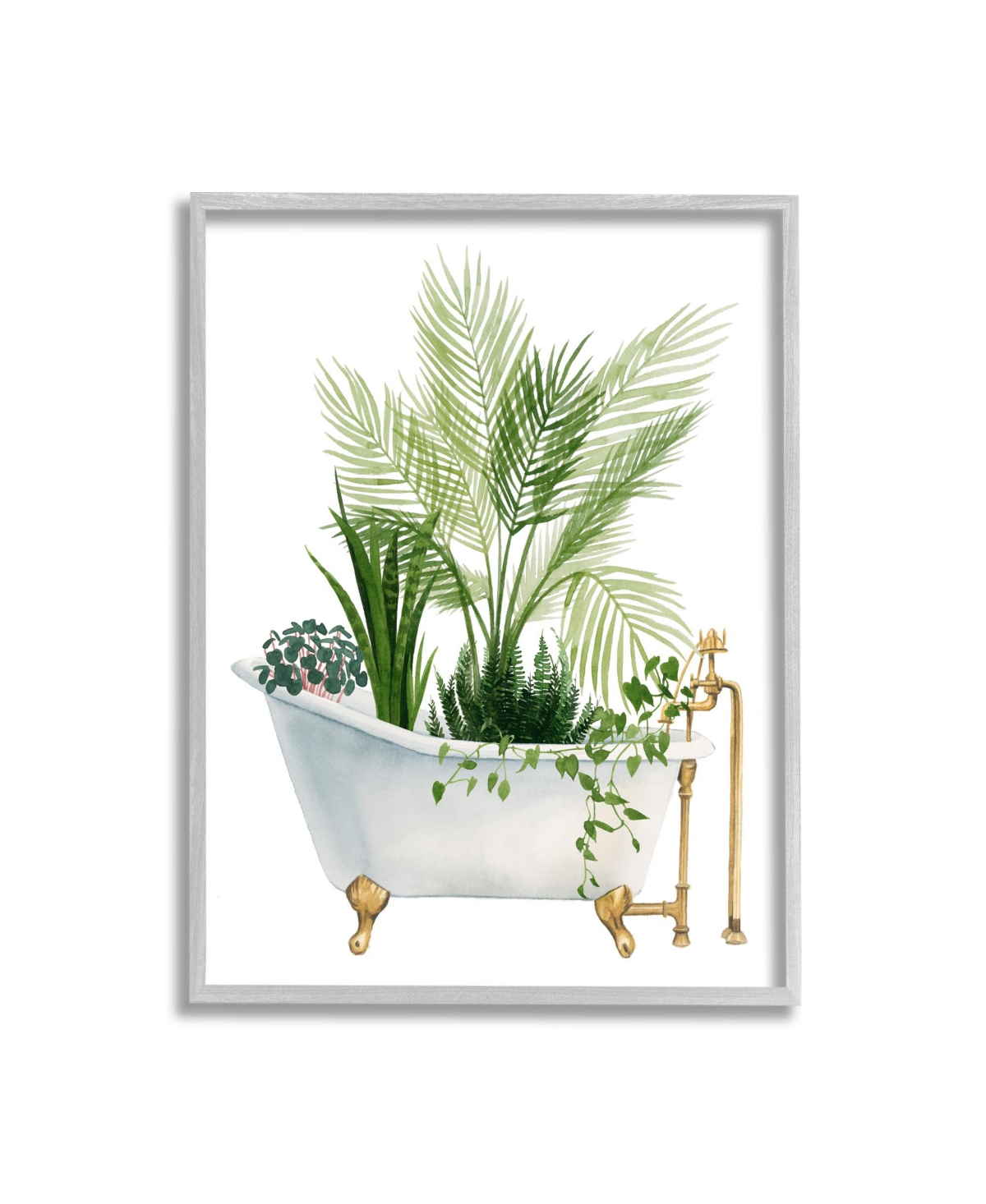 Stupell Industries Various Plants In Vintage-like Tub Framed Giclee Art, 11" X 1.5" X 14" In Multi-color