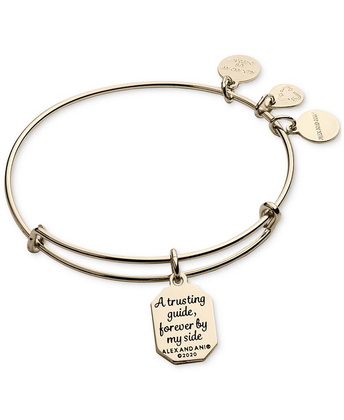 Alex and ani best sale aunt bracelet sale