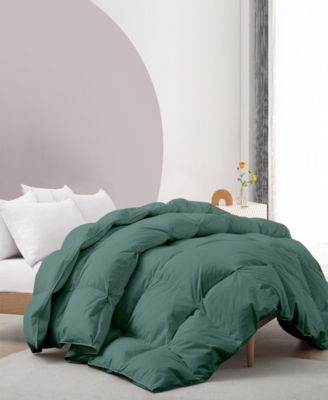 Cotton Fabric Baffled Box All Season Colored Goose Feather and Down Comforter, King