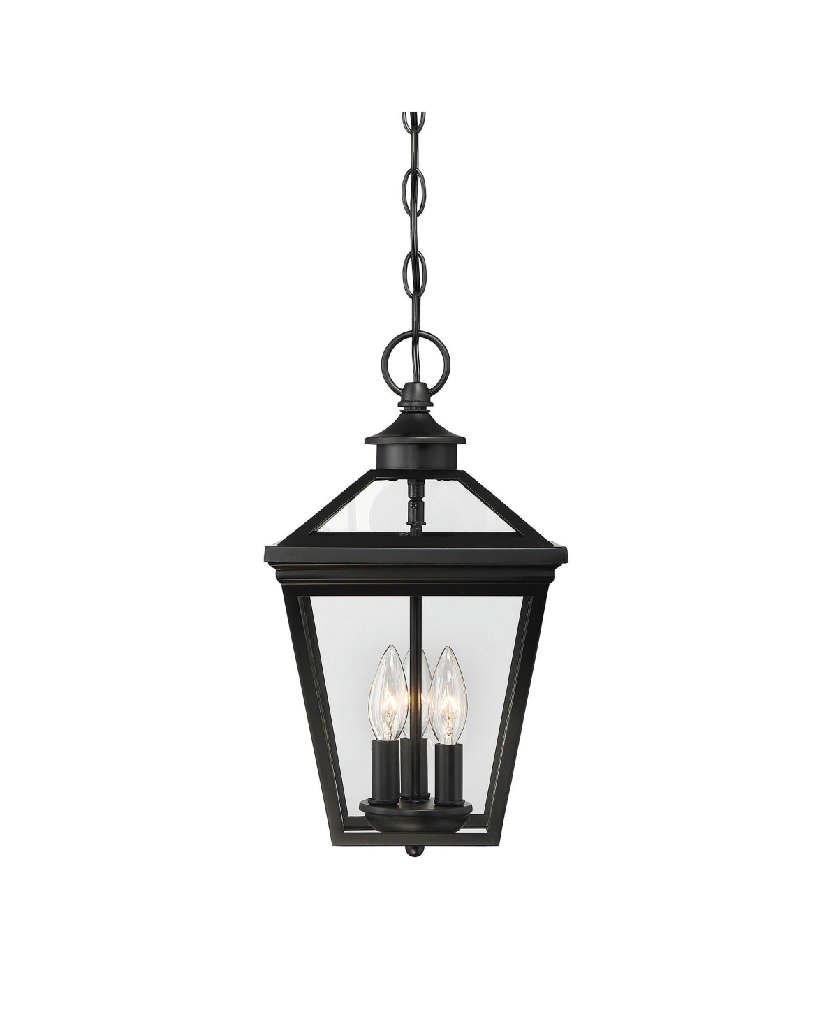Ellijay Outdoor Hanging Lantern - Black