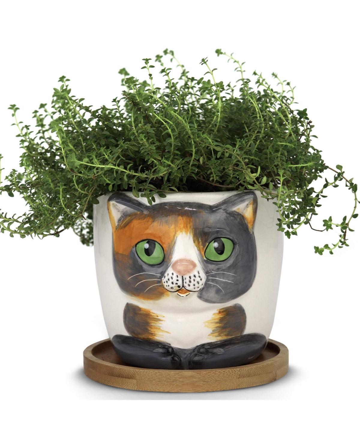 Animal Planters - Large Kitty Pot (Barney) Purrfect for Indoor Live House Plants, Succulents, Flowers and Herbs, Super Cute Planter Gift