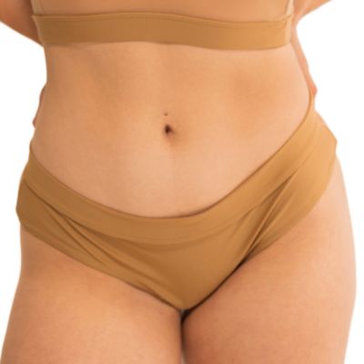 Women's Nude Shade Mesh Hipster Bikini Panty