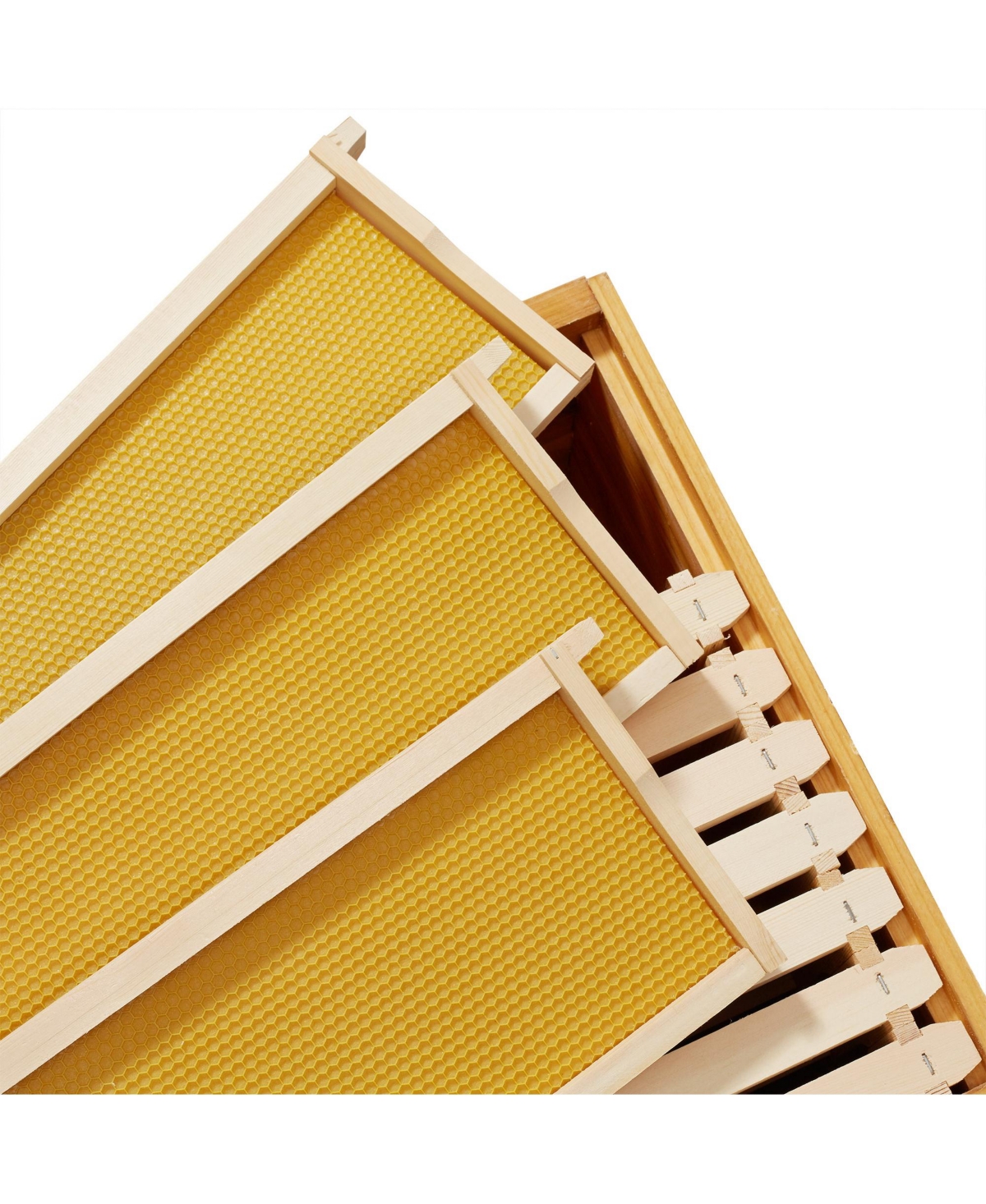 Honey Keeper 10 Assembled Beehive Frames with WaxedFoundations for Beekeeping, 6-1/4 inch - Natural