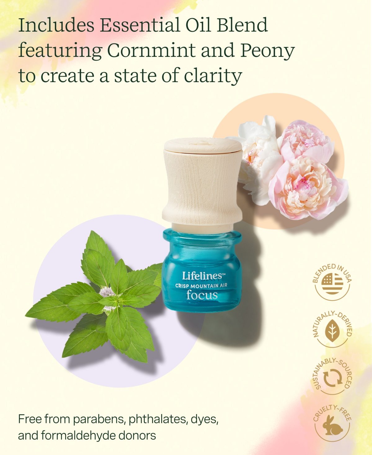 Lifelines Grounding Stones - Meditative Fidget Collection Plus Essential Oil Blend