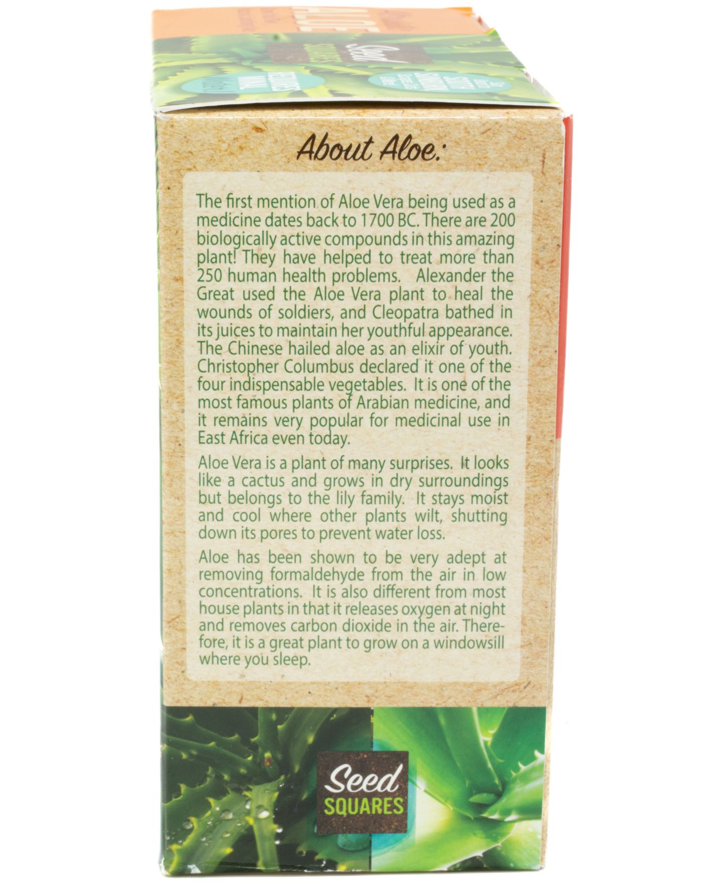 Детские игрушки Areyougame Seed Squares Altruistic Aloe Plant Growing Kit, Ages 4+ — фото 4