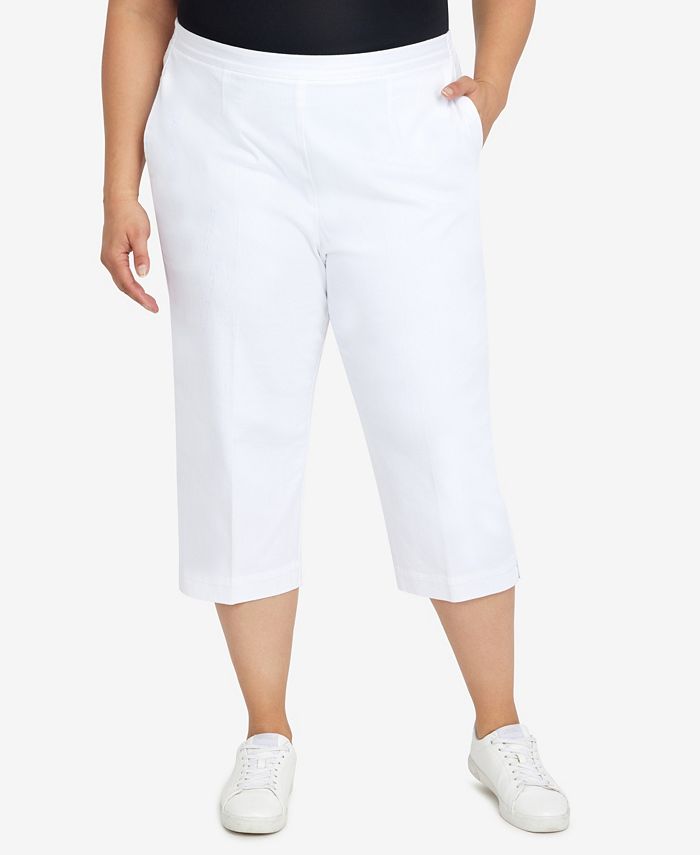 Macys alfred dunner best sale capris