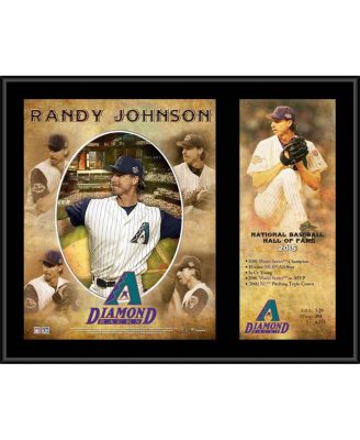 TIL that Randy Johnson is a professional photographer : r/baseball