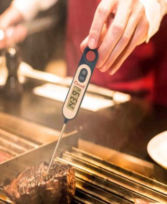 Digital Long Stem Thermometer