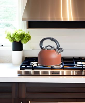 1.9 Litre Whistling Tea Kettle