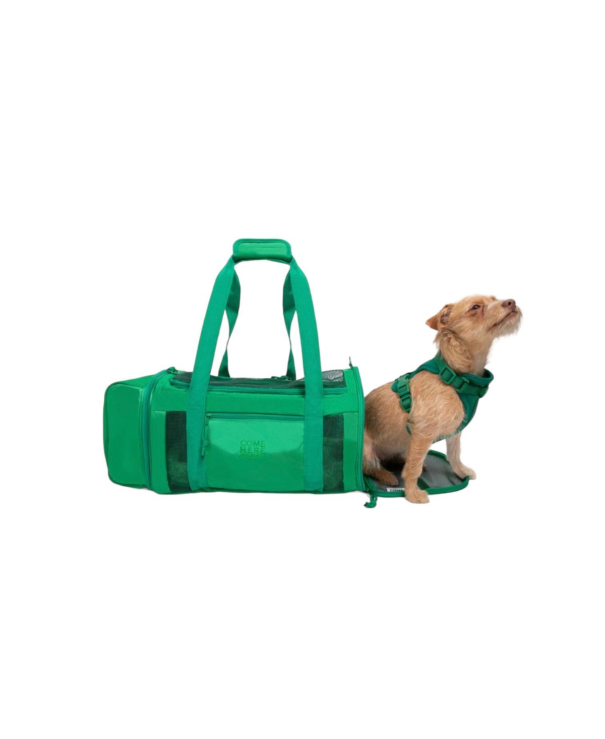 Green Travel Buddy - Pet Carrier - Green